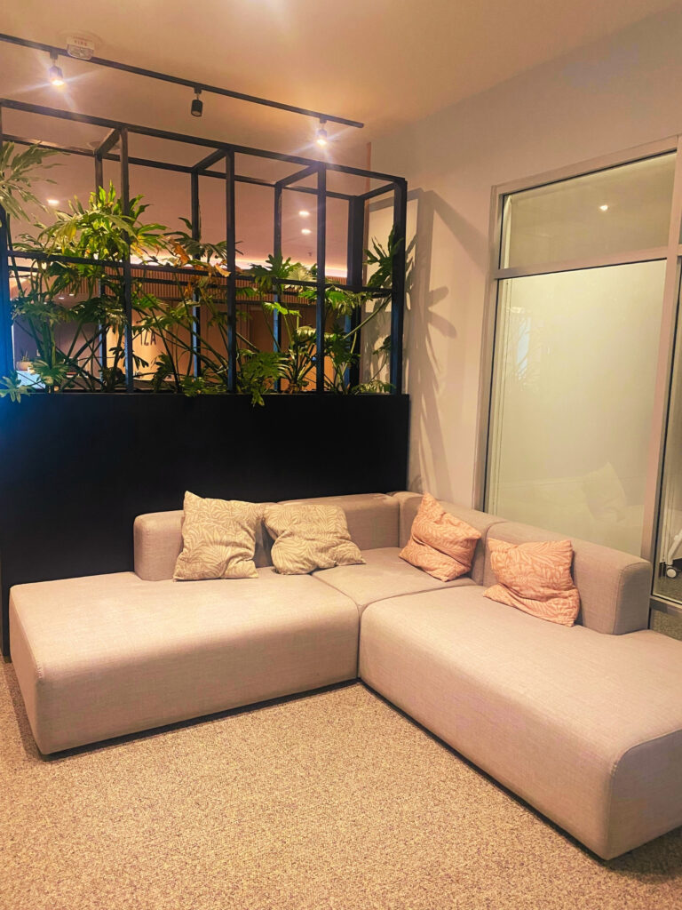 Consultorio de terapia psicológica en Monterrey – sillones