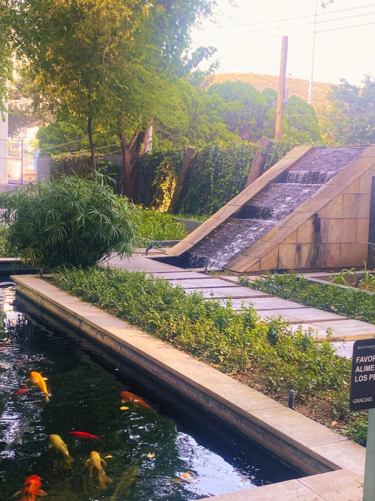 Consultorio de terapia psicológica en Monterrey – jardin